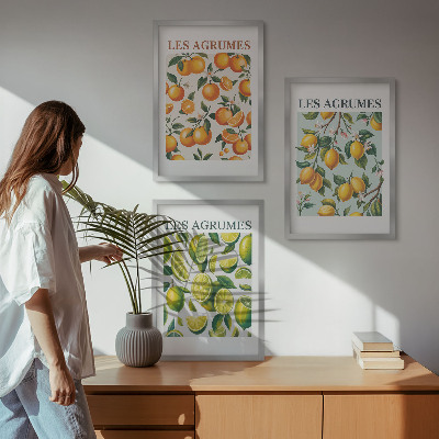 Įrėmintas triptikas Vaisių citrusinių vaisių pasteliniai raštai