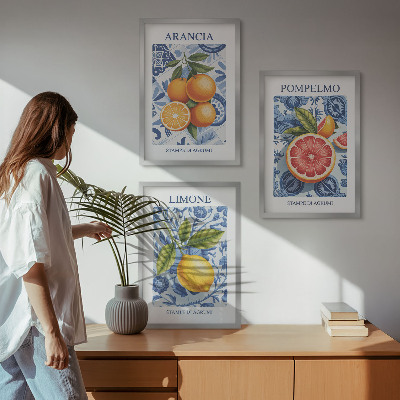 Įrėmintas triptikas Citrusinių vaisių vintažinės iliustracijos