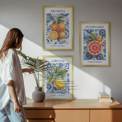 Įrėmintas triptikas Citrusinių vaisių vintažinės iliustracijos