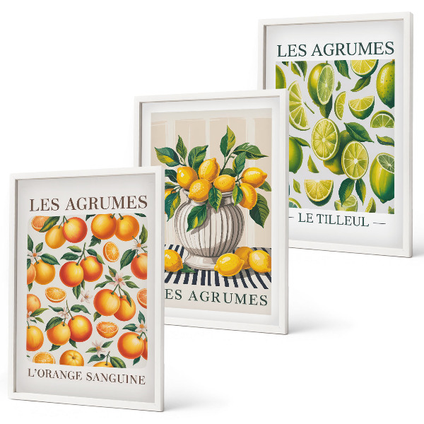 3 paveikslų rinkinys su rėmais Citrusiniai vaisiai spalvingomis versijomis