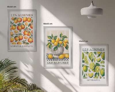 3 paveikslų rinkinys su rėmais Citrusiniai vaisiai spalvingomis versijomis