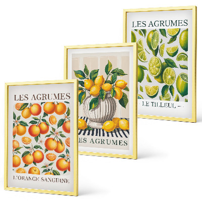 3 paveikslų rinkinys su rėmais Citrusiniai vaisiai spalvingomis versijomis