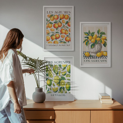 3 paveikslų rinkinys su rėmais Citrusiniai vaisiai spalvingomis versijomis