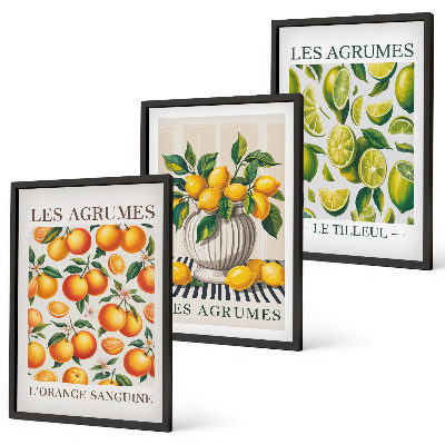 3 paveikslų rinkinys su rėmais Citrusiniai vaisiai spalvingomis versijomis