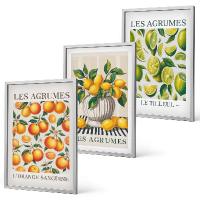 3 paveikslų rinkinys su rėmais Citrusiniai vaisiai spalvingomis versijomis