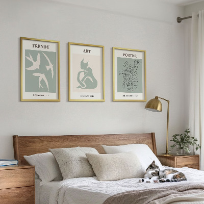 3 paveikslų rinkinys su rėmais Stilingos Matiso iliustracijos