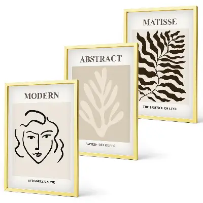 Veido lapų triptikas Matisse stiliaus įrėmintas paveikslas