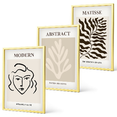 Įrėmintas triptikas Veido lapai menas Matisse