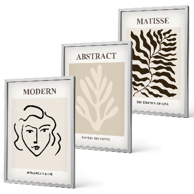 Įrėmintas triptikas Veido lapai menas Matisse