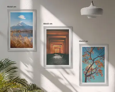 Japonijos gamtos peizažai 3 paveikslų rinkinys su rėmais