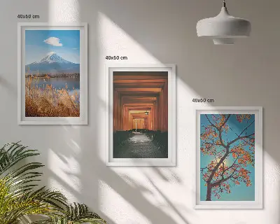 Japonijos gamtos peizažai 3 paveikslų rinkinys su rėmais