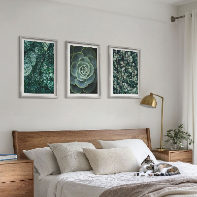 3 paveikslų rinkinys su rėmais Sukulentai