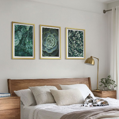 3 paveikslų rinkinys su rėmais Sukulentai
