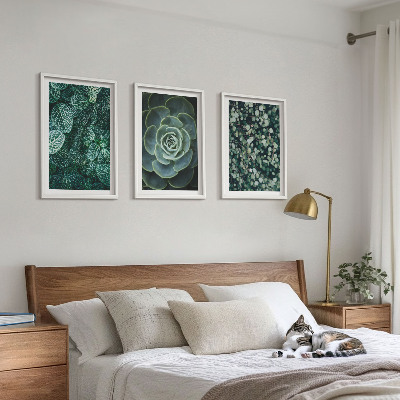 3 paveikslų rinkinys su rėmais Sukulentai