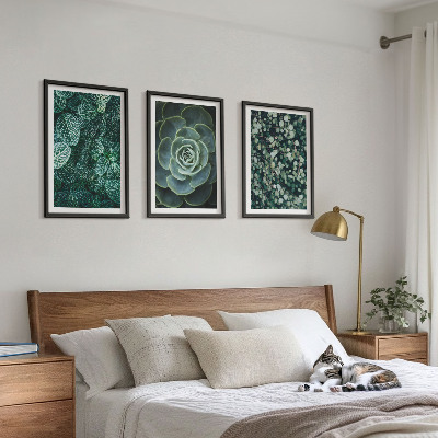 3 paveikslų rinkinys su rėmais Sukulentai