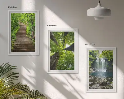 Įrėmintas triptikas miško takas, krioklys ir augmenija