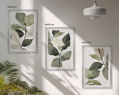 3 paveikslų rinkinys su rėmais Dažyti boho augalų lapai