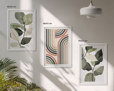 3 paveikslų rinkinys su rėmais Geometriniai augalų motyvai