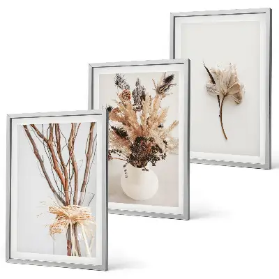 Minimalistinės gėlės su šakomis 3 paveikslų rinkinys su rėmais