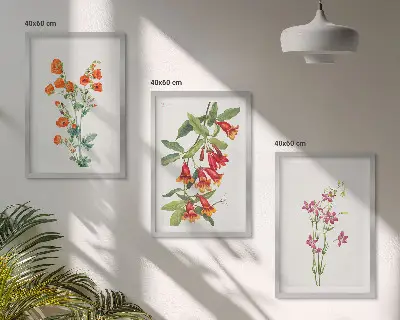 Vintažinis retro gėlių paveikslas 3 paveikslų rinkinys su rėmais