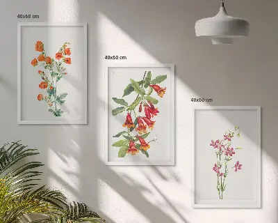 Vintažinis retro gėlių paveikslas 3 paveikslų rinkinys su rėmais