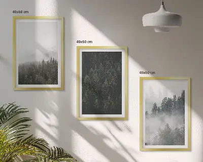 3 paveikslų rinkinys su rėmais žali miškai ir rūkas gamtos tematika