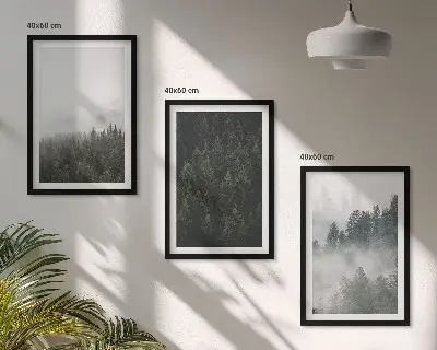3 paveikslų rinkinys su rėmais žali miškai ir rūkas gamtos tematika
