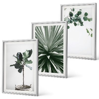 Įrėmintas triptikas Žaliųjų augalų minimalizmas