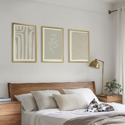 3 paveikslų rinkinys su rėmais Geometriniai augalų raštai