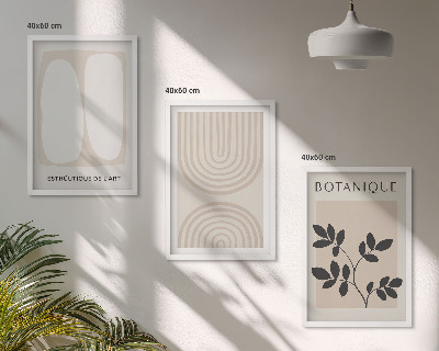 Įrėmintas triptikas Boho subtilūs augalų plakatai