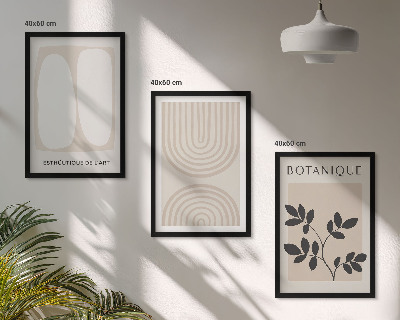 Įrėmintas triptikas Boho subtilūs augalų plakatai