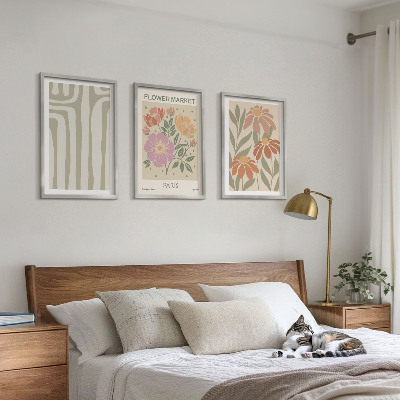 3 paveikslų rinkinys su rėmais Botaniniai motyvai Paryžiaus minimalizmas