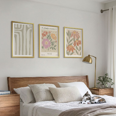 3 paveikslų rinkinys su rėmais Botaniniai motyvai Paryžiaus minimalizmas