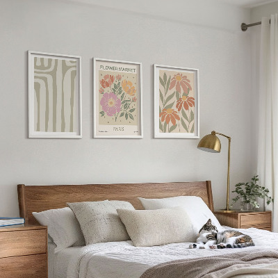 3 paveikslų rinkinys su rėmais Botaniniai motyvai Paryžiaus minimalizmas