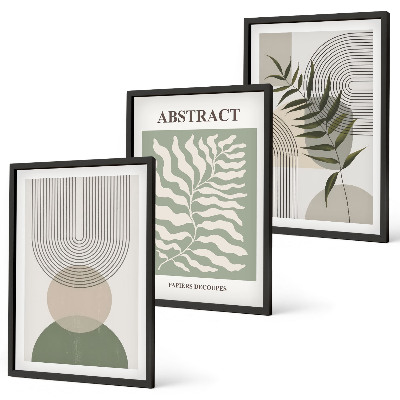 Įrėmintas triptikas Botaninės boho abstrakcijos