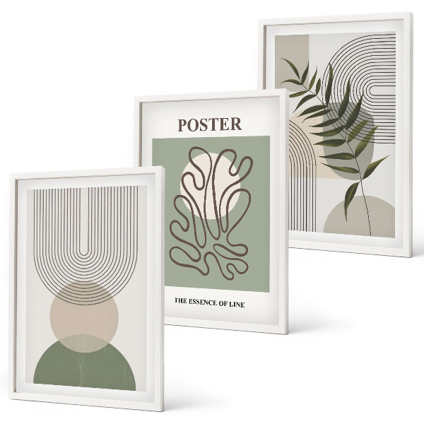 3 paveikslų rinkinys su rėmais Geometriniai botaniniai raštai