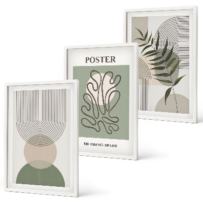 3 paveikslų rinkinys su rėmais Geometriniai botaniniai raštai