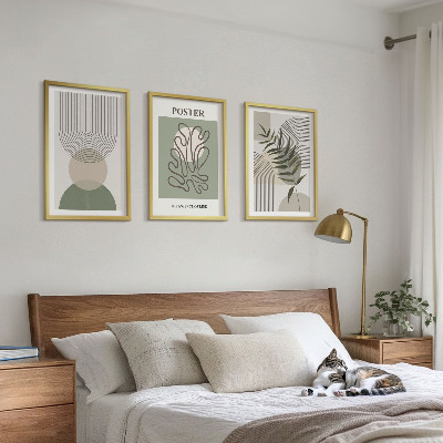 3 paveikslų rinkinys su rėmais Geometriniai botaniniai raštai