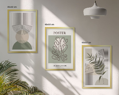 3 paveikslų rinkinys su rėmais Geometriniai botaniniai raštai