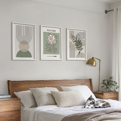 3 paveikslų rinkinys su rėmais Geometriniai botaniniai raštai