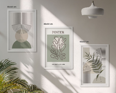 3 paveikslų rinkinys su rėmais Geometriniai botaniniai raštai