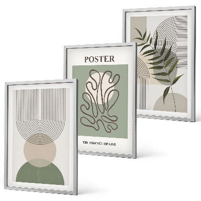 3 paveikslų rinkinys su rėmais Geometriniai botaniniai raštai