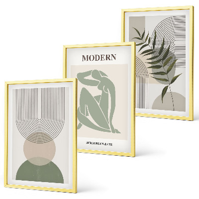Įrėmintas triptikas Stilinga augalų grafika
