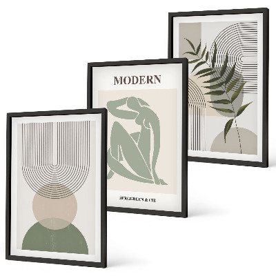 Įrėmintas triptikas Stilinga augalų grafika