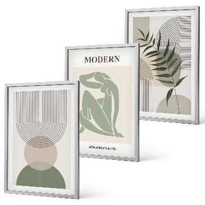 Įrėmintas triptikas Stilinga augalų grafika