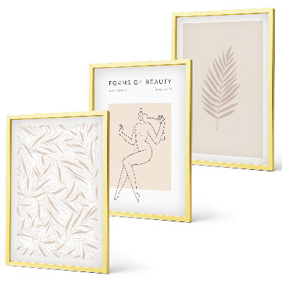 3 paveikslų rinkinys su rėmais Minimalistiniai botaniniai motyvai