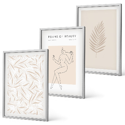 3 paveikslų rinkinys su rėmais Minimalistiniai botaniniai motyvai