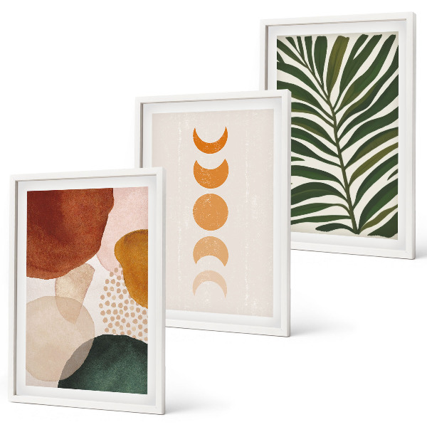 3 paveikslų rinkinys su rėmais Abstrakčios lapų formos