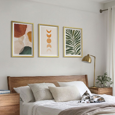 3 paveikslų rinkinys su rėmais Abstrakčios lapų formos