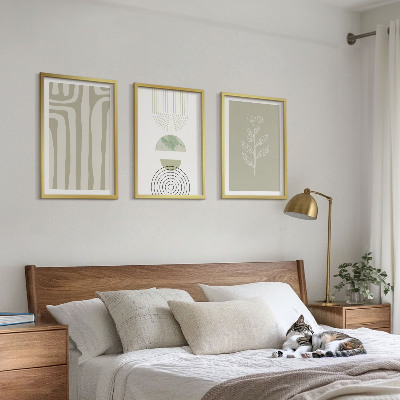 3 paveikslų rinkinys su rėmais Geometriniai augalų raštai